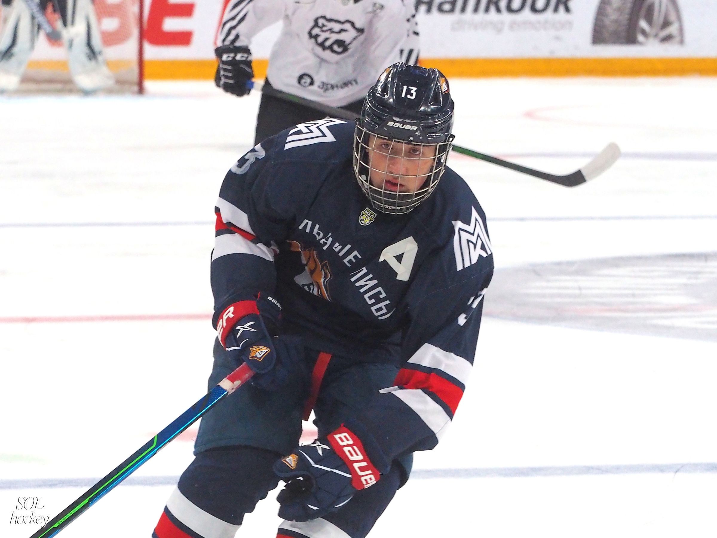 стальные лисы белые медведи прогноз на сегодня